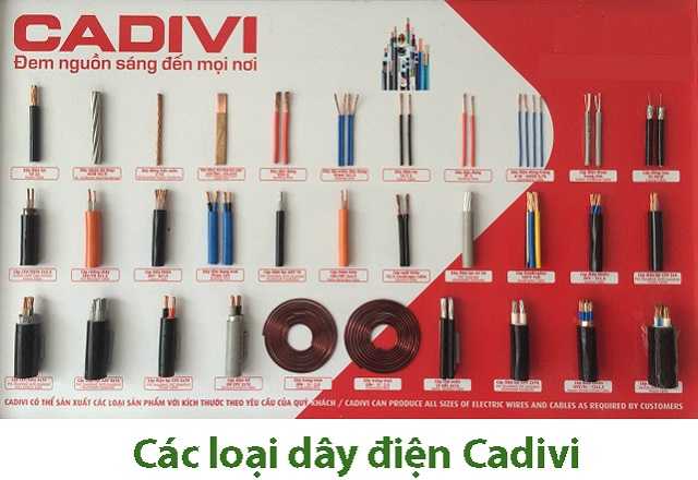 Day-cap-dien-Cadivi-hien-tren-thi-truong-co-da-dang-chung-loai