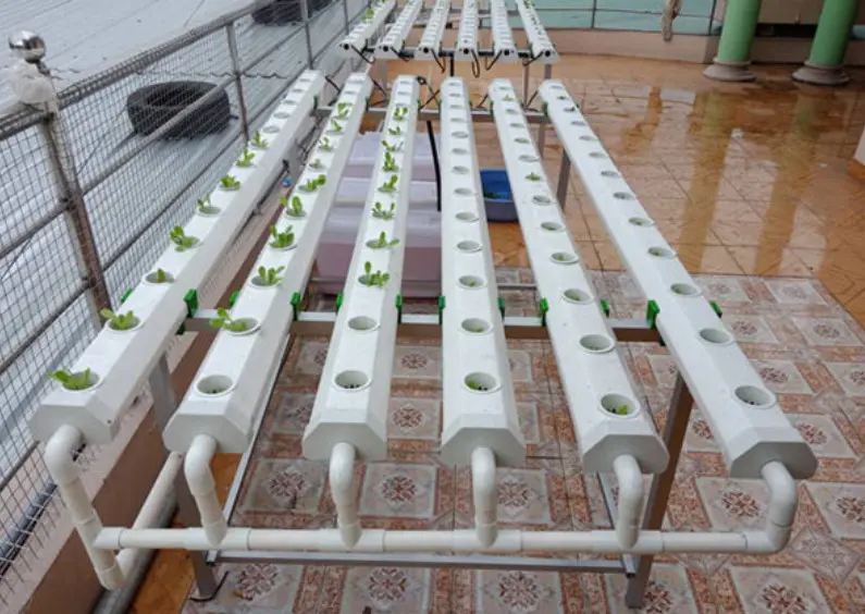 ống nhựa thủy canh