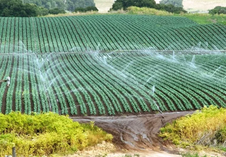 Ống Nhựa Đục Lỗ