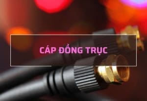 cap-dong-truc