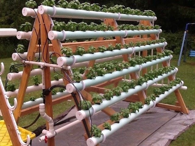 trồng rau thủy canh bằng ống nhựa pvc