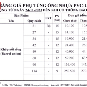 Khớp nối sống Bình Minh