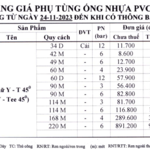 Chữ Y Bình Minh