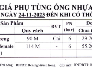 Co âm dương Bình Minh