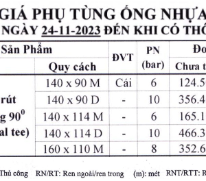 Nối kiểm tra Bình Minh