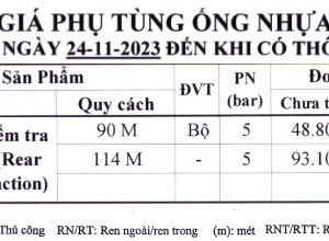 Tê cong kiểm tra mặt sau Bình Minh