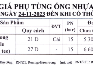 Tê ren trong nhựa Bình Minh