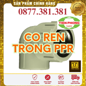 Co Ren Trong PPR Tiền Phong