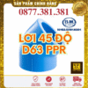 Lơi 45 Độ PPR Bình Minh Phi 63