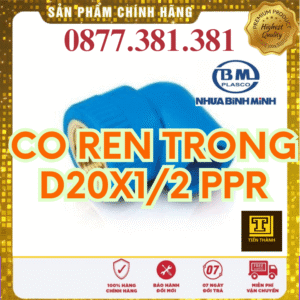 Co Ren Trong PPR Bình Minh Phi 20x1/2