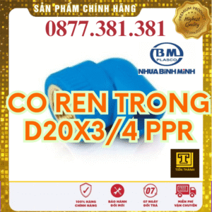 Co Ren Trong PPR Bình Minh Phi 20x3/4