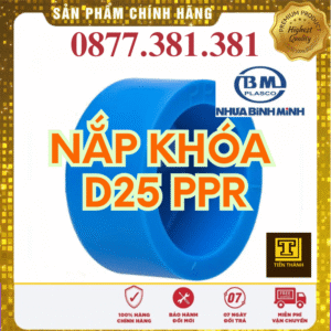 Nắp Khóa PPR Bình Minh Phi 25