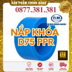 Nắp Khóa PPR Bình Minh Phi 75