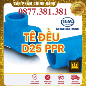 Tê PPR Bình Minh Phi 25