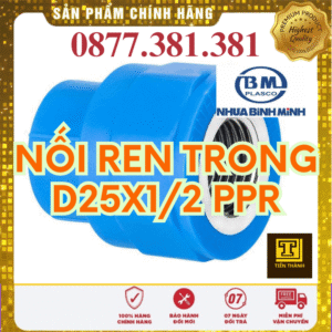 Nối Ren Trong PPR Bình Minh Phi 25x1/2"