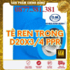 Tê Ren Trong PPR Bình Minh Phi 20x3/4