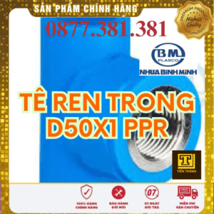 Tê Ren Trong PPR Bình Minh Phi 50x1