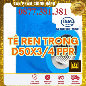 Tê Ren Trong PPR Bình Minh Phi 50x3/4