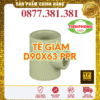 Tê Rút PPR Tiền Phong Phi 90x63