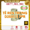 Tê Ren Trong PPR Tiền Phong Phi 25x1/2